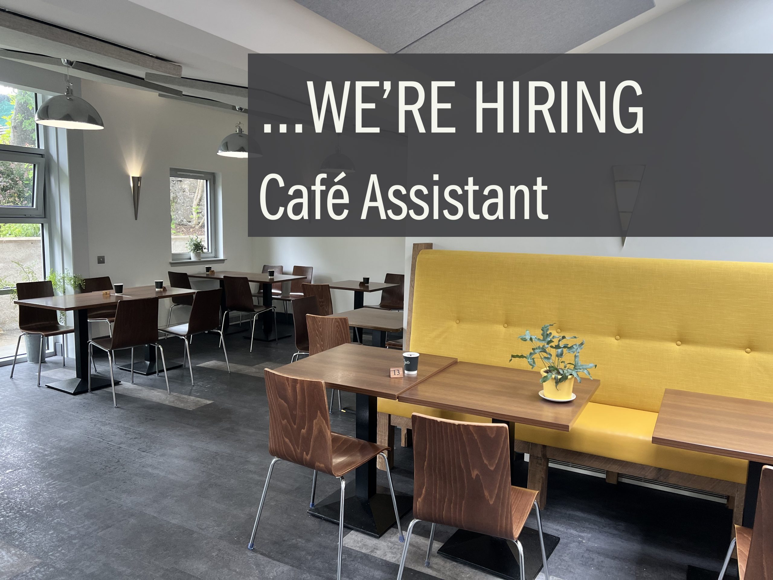 cafe post new